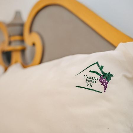 Apoldu de Sus Cabana Dintre VII מראה חיצוני תמונה